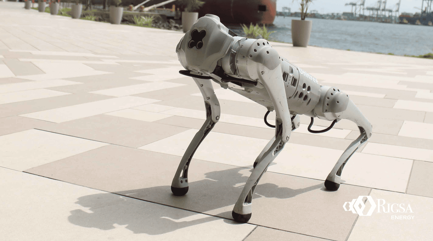 rigsa unitree expomaquina 2025