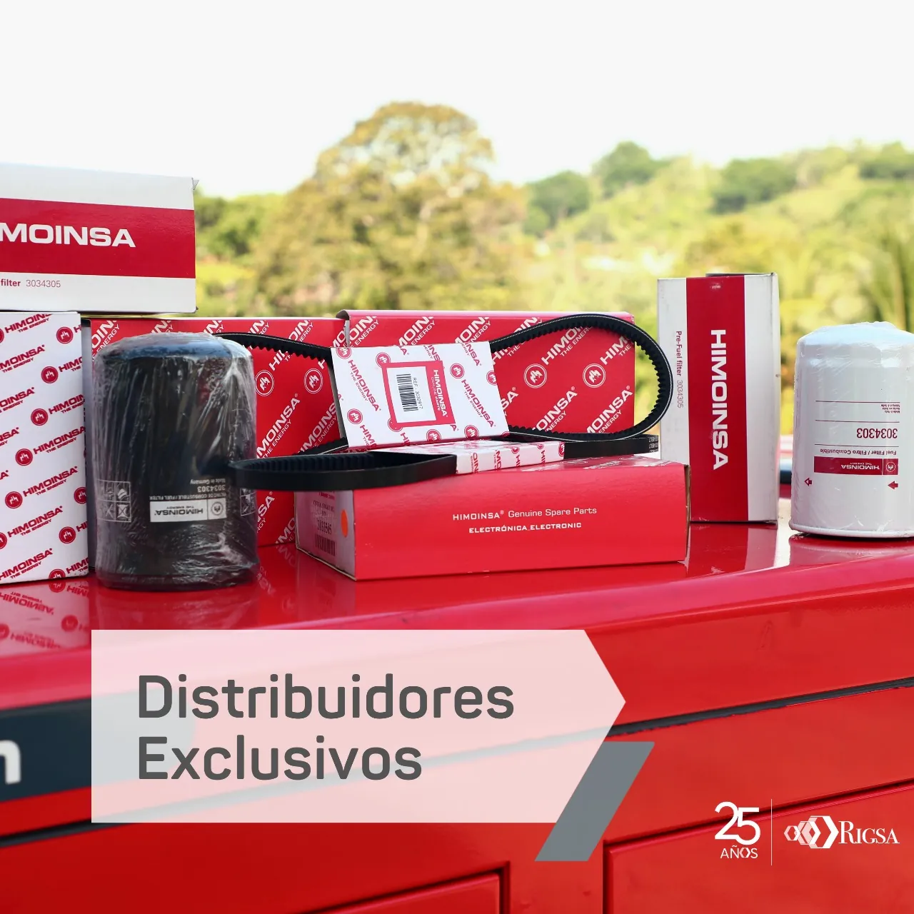 Repuestos originales RIGSA