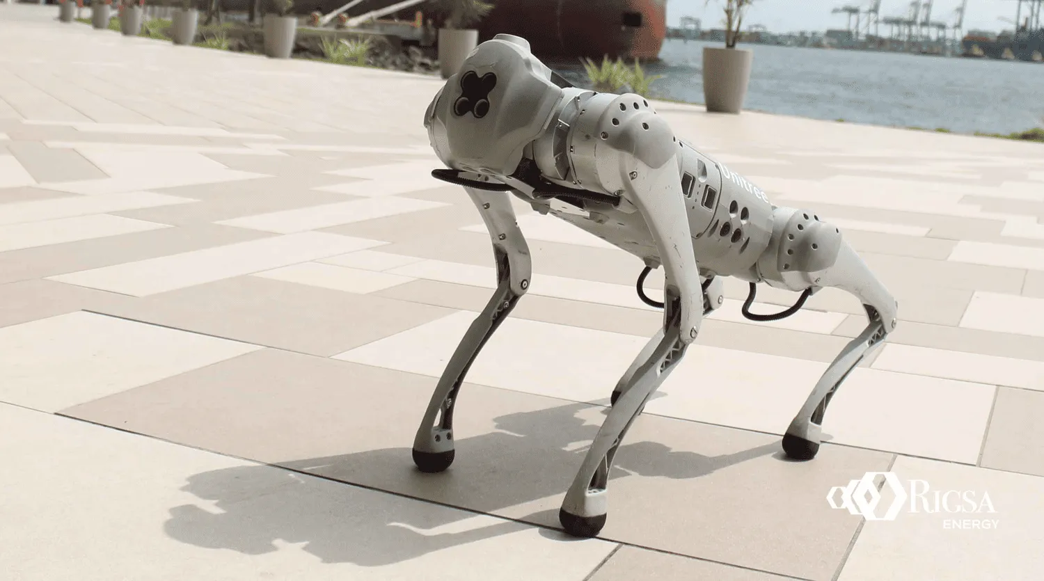 Robot cuadrúpedo Unitree Go2 caminando en una terraza